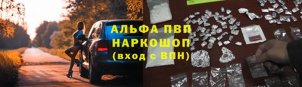 индика Алексеевка