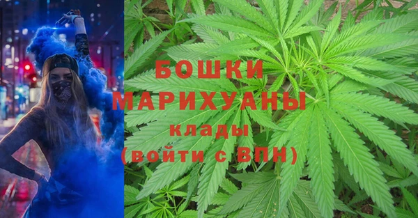 индика Алексеевка