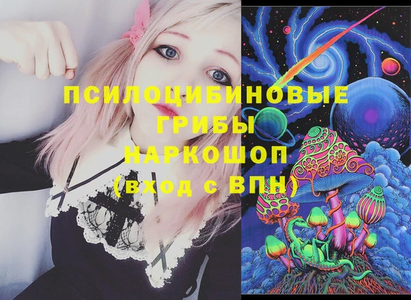 амф Алексин