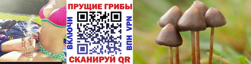 Псилоцибиновые грибы Psilocybe Белоярский
